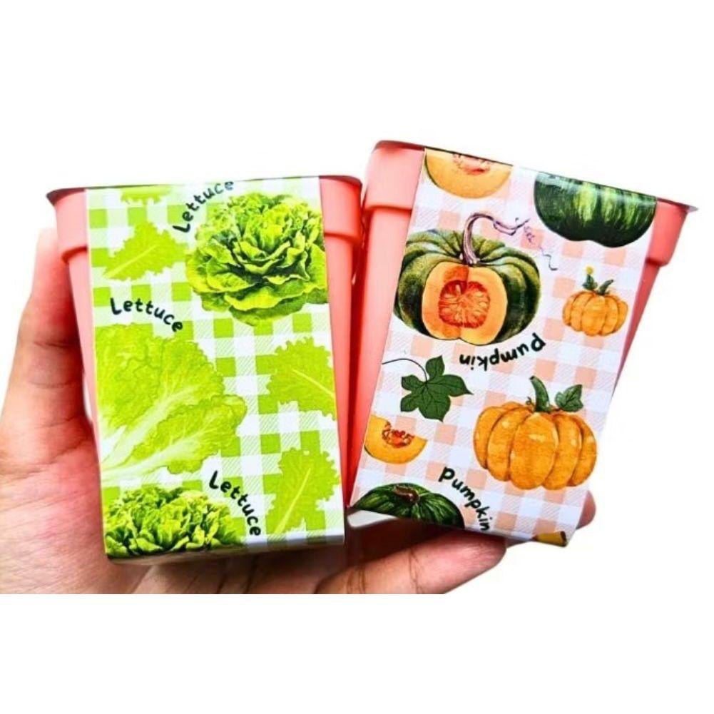 Kids Garden Kit - Mainan Edukasi iRentKids.com